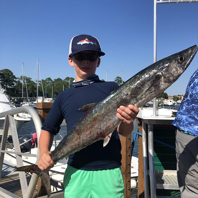 king-mackerel